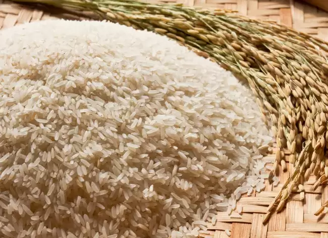 Fortified Rice 1