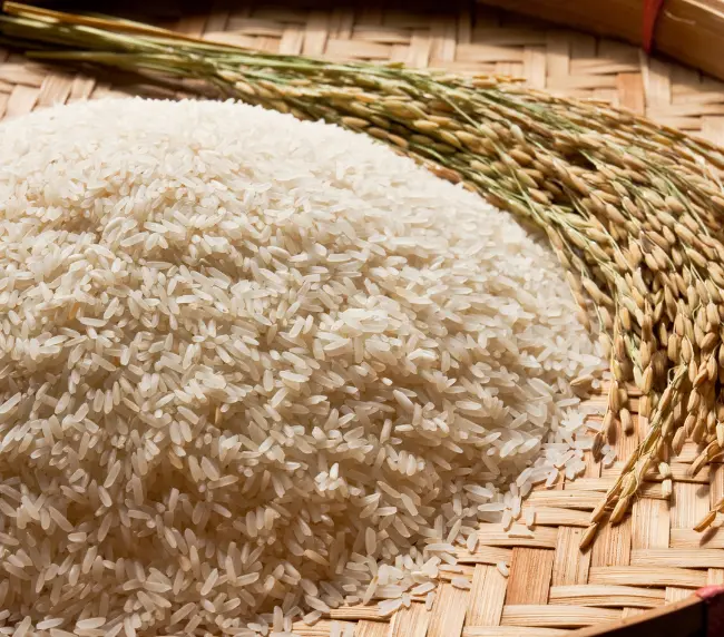 Fortified Rice 1